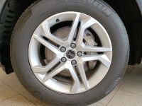 Audi Q5 - Vorschau Bild 7