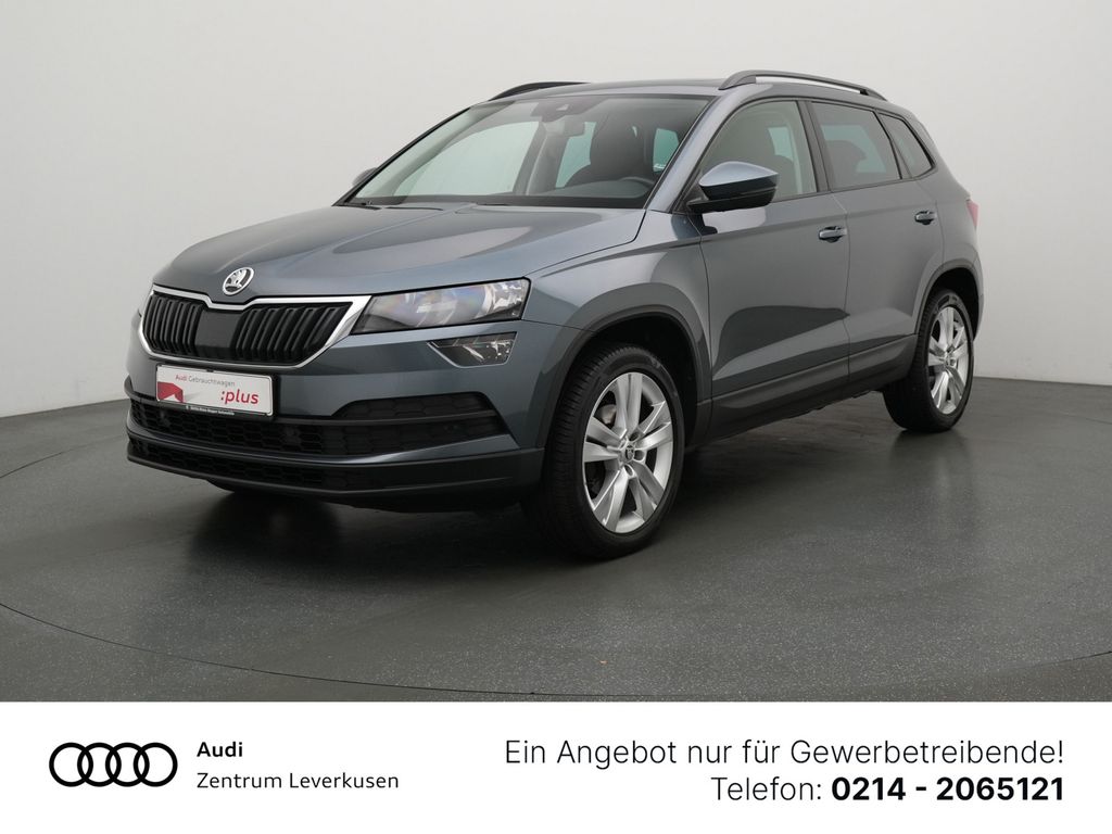 Angebot ansehen Skoda Karoq