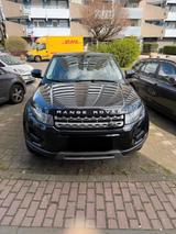 Andere Rage Rover - Andere in Köln