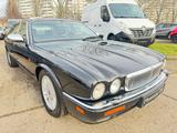 Jaguar Daimler 6.0 V12 Double Six Auto Lang/ Voll - Jaguar Daimler: Limousine