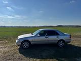 Mercedes-Benz C 280 ELEGANCE Elegance - gebrauchte Mercedes-Benz C 280 aus dem Jahr 1995