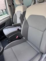 Volkswagen T7 Multivan 1,5 TSI OPF DSG - - Volkswagen T7 Benziner Gebrauchtwagen