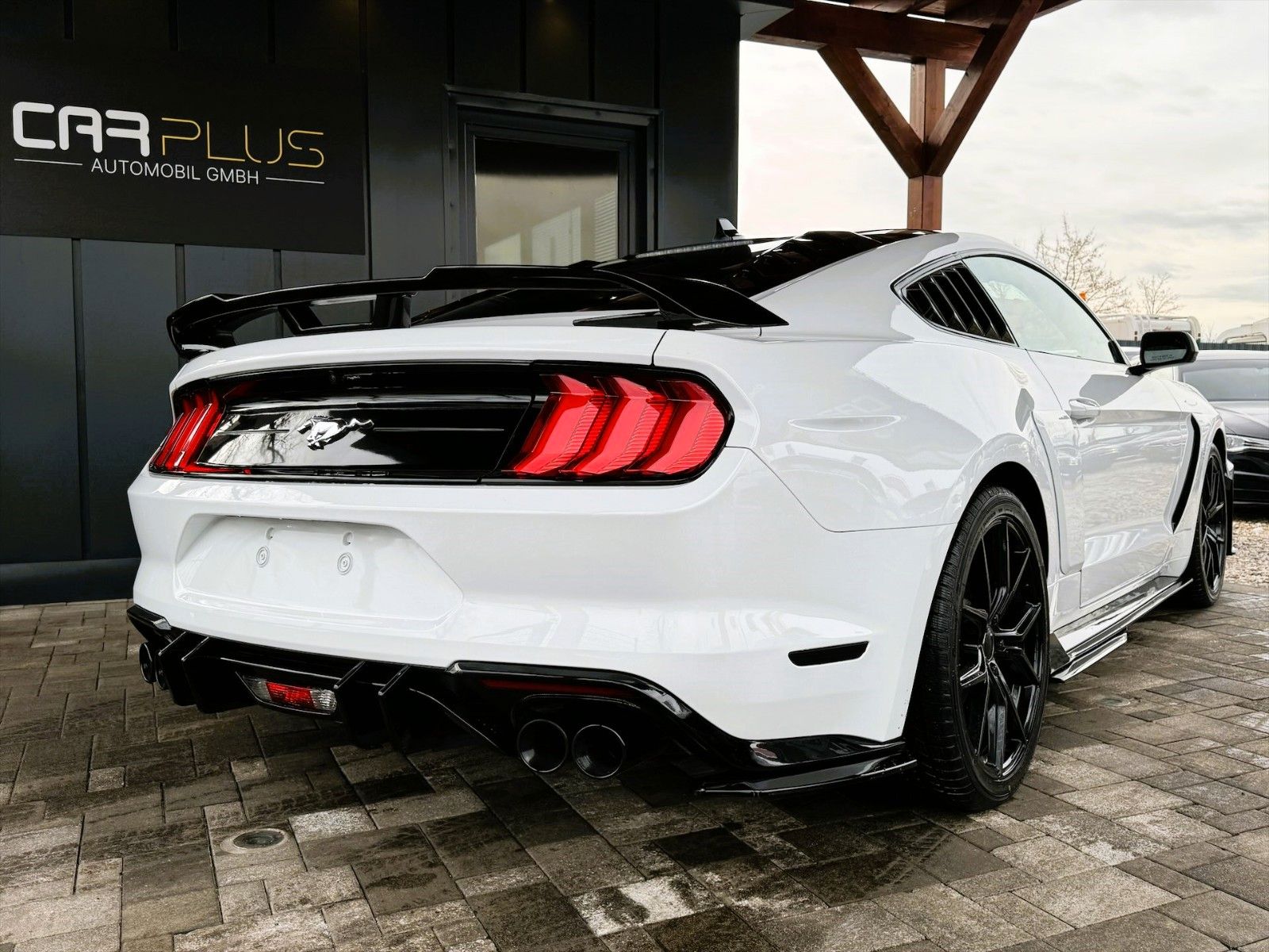 Fahrzeugabbildung Ford Mustang Shelby 500 GT Sport Coupe Performance