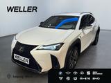 Lexus UX 300h 2,0, 199 PS CVT, 4x2 Hybrid 5-Türer F-SP