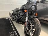 Indian Sport Chief