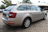 Skoda Octavia Combi Style - mit Benzin-Antrieb: Beige, Teilleder