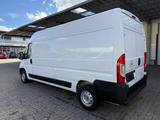 Opel Movano C Kasten HKa L3H2 3,5t Edition KLIMA - Opel Movano in Bielefeld