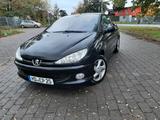 Peugeot 206 CC Cabrio Leder Kamera gepflegt - Peugeot 206 in Magdeburg