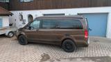 Mercedes-Benz Marco Polo 250d 4Matic Camper - Allradantrieb Kastenwagen