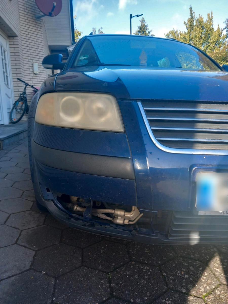 Volkswagen Passat 2004 — rear view