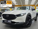 Mazda CX-30 2,5 MHEV Nagisa Leder el.Heckk. BoseSound - Mazda CX-30 Nagisa mit Hybrid-Antrieb (Benzin/Elektro)