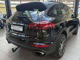 Porsche Cayenne Diesel Platinum Edition, Automatik, SHZ - Porsche Cayenne S-Platinum-Edition