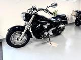 Yamaha XVS 1300 Midnight Star nur 13.650 km !  MILLER ! - Angebote