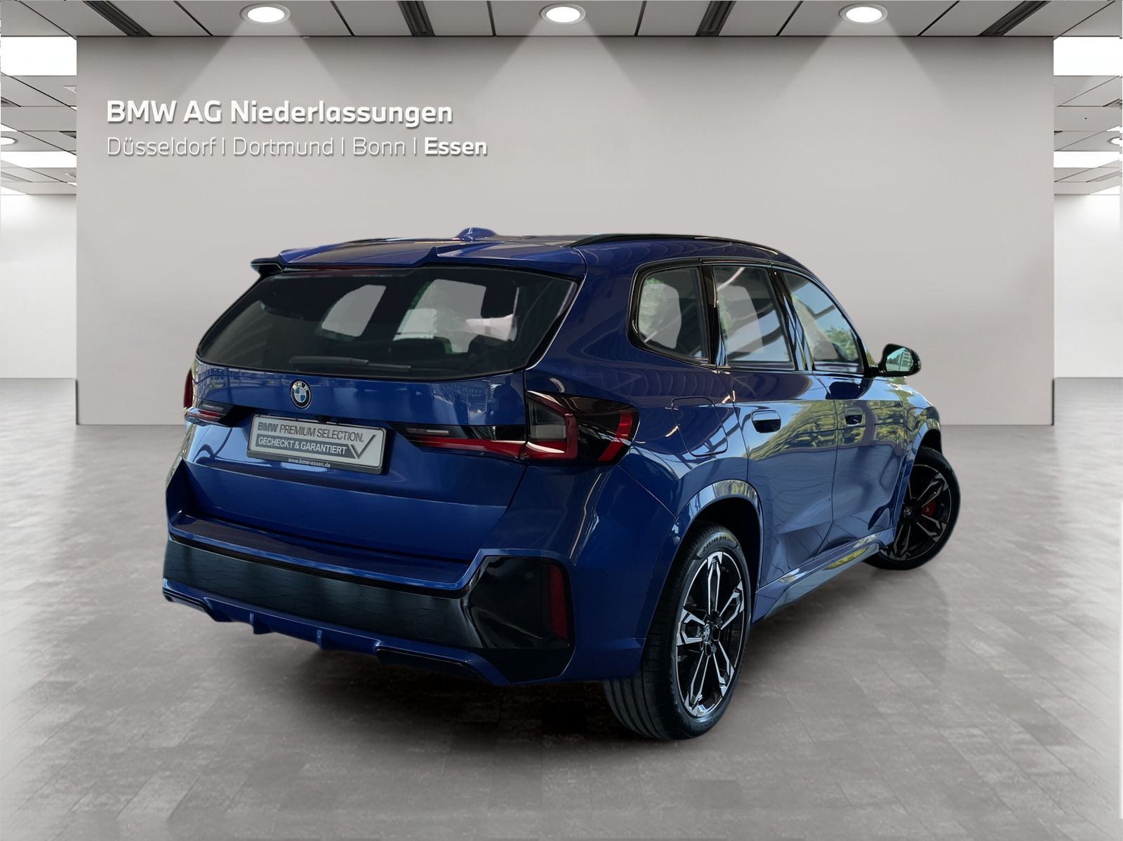 BMW X1 sDrive20d M Sport AHK Driv.Assist.Prof LED foto 4
