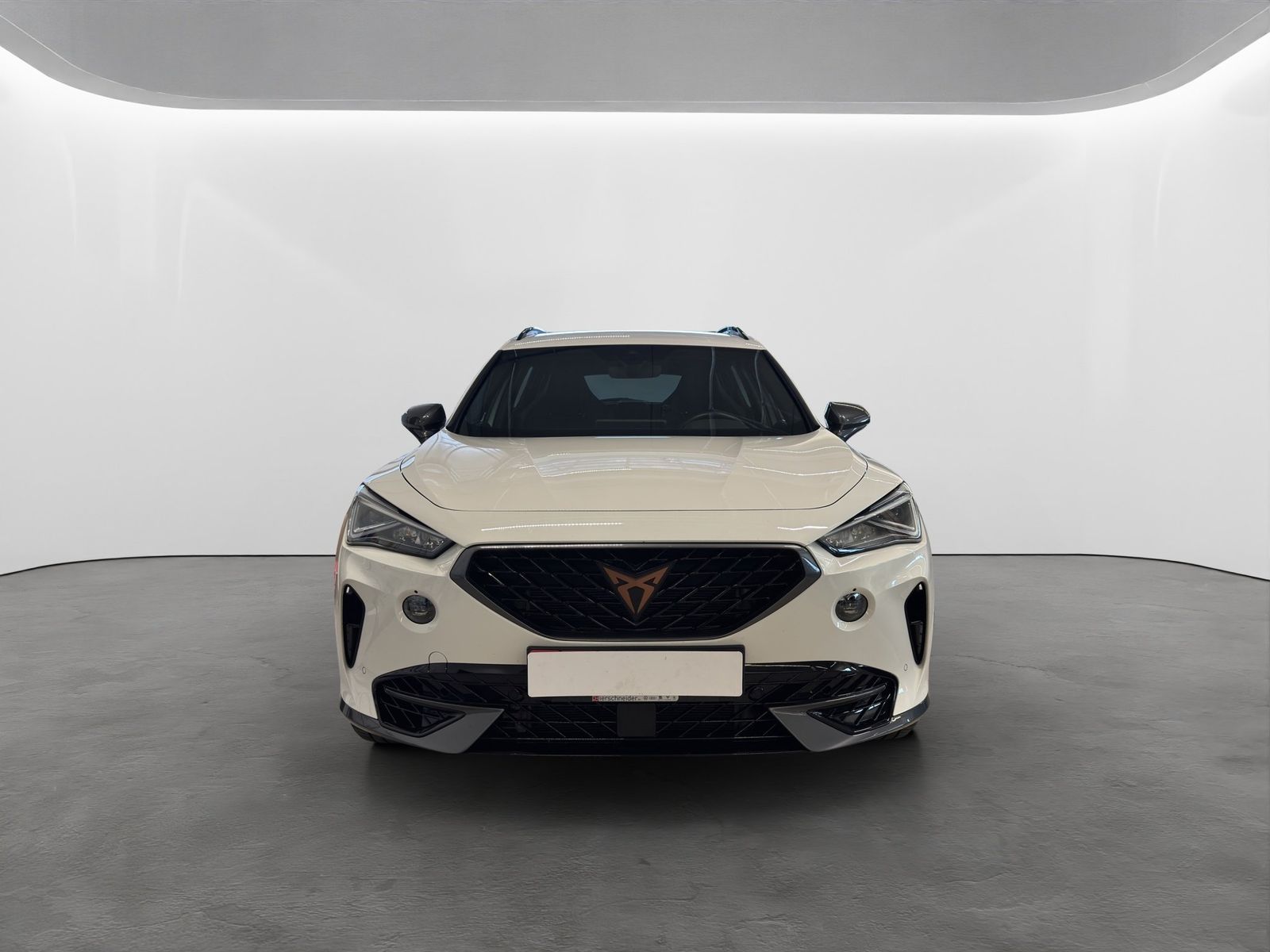 Cupra Formentor 2.0 TSI DSG 4Drive VZ LED NAVI AHK ACC imagem 3