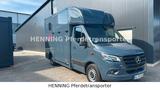 Mercedes-Benz Sprinter 2-Sitzer Pferdetransporter - Tier- & Pferdetransport für 2 Pferde
