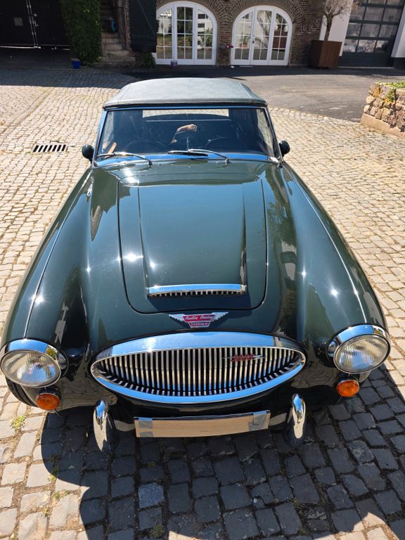 Austin Healey Andere