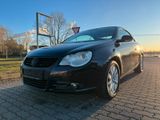 Volkswagen Eos 1.6 - Volkswagen Eos: 1.6