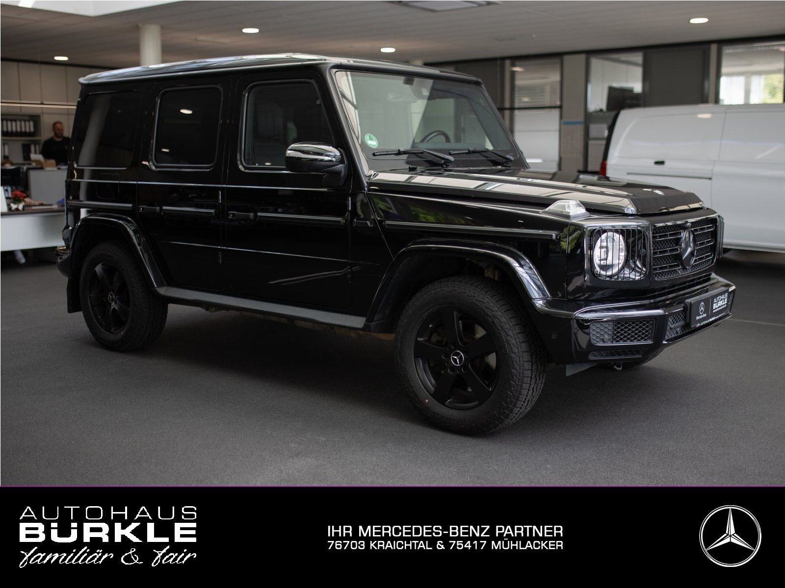 MERCEDES-BENZ G 500 Professional,Stdhzg,AHK,Comand,360°Kamera