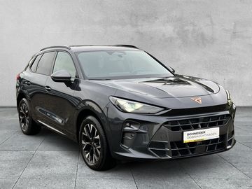 Cupra Terramar - 7