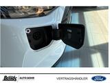 Ford Transit Custom 320 L1H1 LKW VA PHEV Trend - Ford Transit Custom in Gelsenkirchen