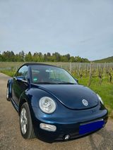 Volkswagen New Beetle Cabriolet, 1.6 Highline  - Volkswagen Beetle aus 2003