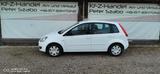 Ford Fiesta Style - Ford Fiesta aus 2007 mit Diesel-Antrieb