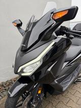 Honda Forza 350 - sehr guter Zustand ! - Angebote