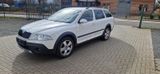 Skoda Octavia Combi Scout 4X4 - Skoda Octavia aus 2008: Scout