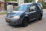 Volkswagen Caddy Life 1.6 (7-Sitzer -HU&Service neu -Klima) - gebrauchte Volkswagen Caddy aus dem Jahr 2005