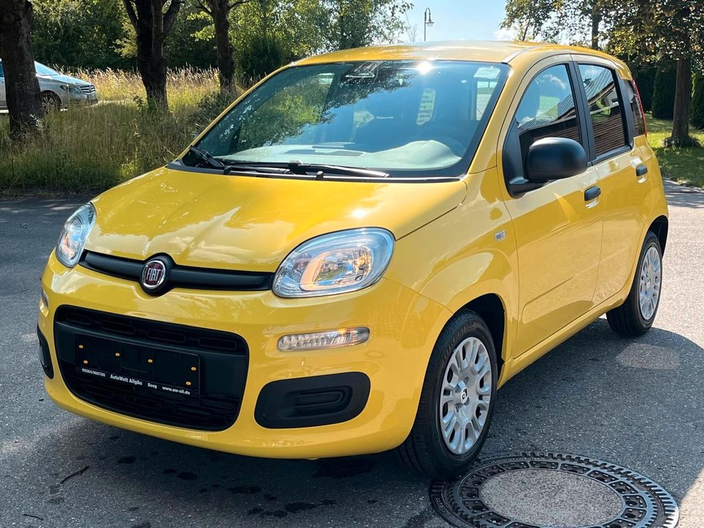 Image of Fiat Other