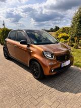 Smart ForFour 451 Prime , gepflegt - Smart: 451