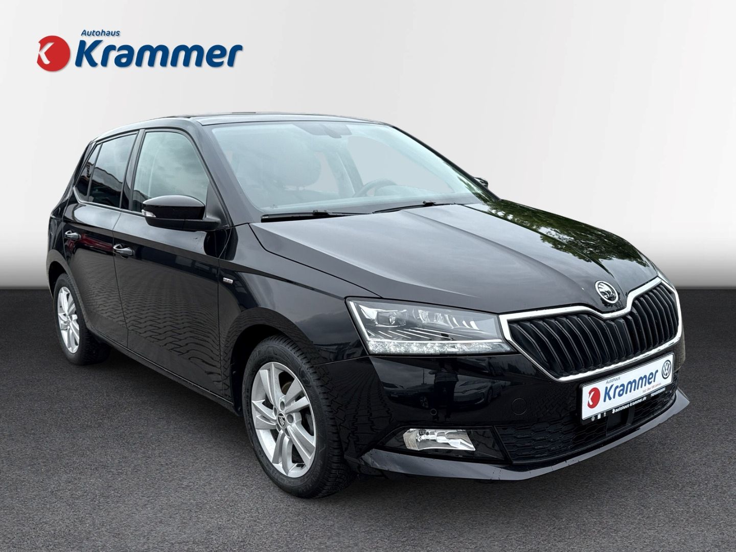 Fabia 1.0 TSI Ambition *Kamera*PANO*