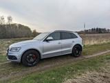 Audi SQ5 3.0 TDI competition tiptronic quattro - - Audi SQ5 Gebrauchtwagen in Hamburg