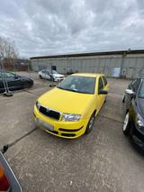 Skoda Fabia 6Y - Skoda Fabia 6Y mit Benzin-Antrieb
