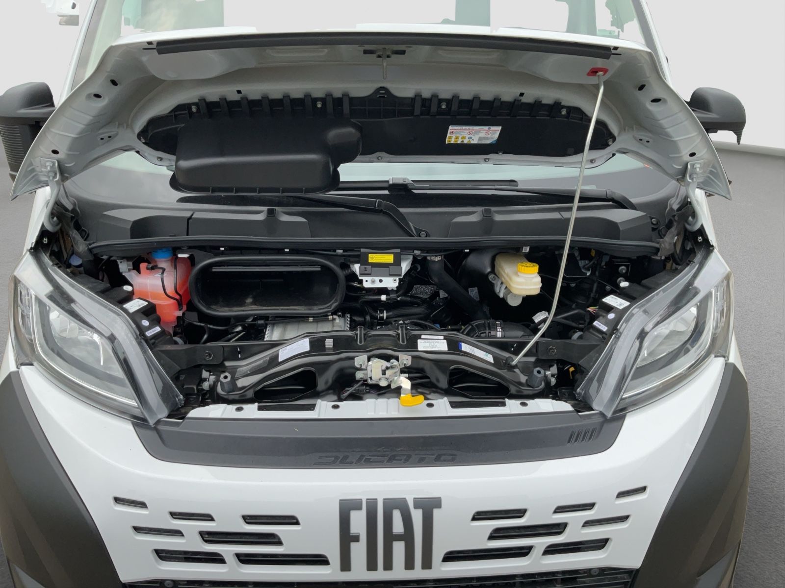 Fahrzeugabbildung Fiat Ducato L2H1 120 Kamera, Premium Kabine