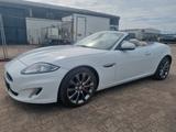 Jaguar XK 5.0 V8 Cabriolet XKR Optik*Wenig KM*Gepflegt* - Jaguar XK: Cabrio