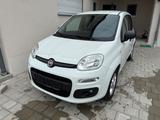 Fiat New Panda 1.2 8V MORE *Standheizung* - weiße Fiat New Panda