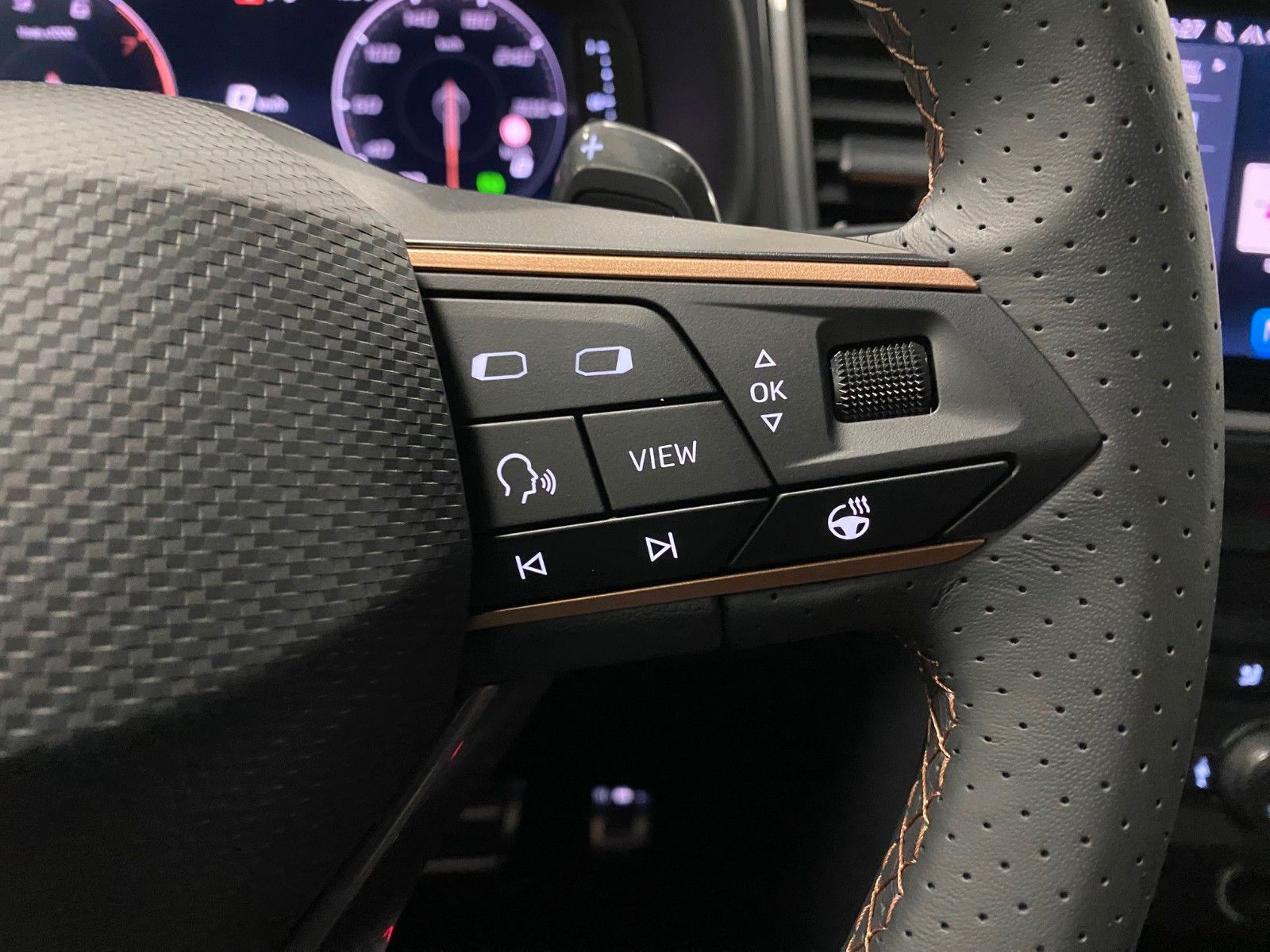 Fahrzeugabbildung CUPRA Ateca 1.5 TSI DSG+AHK schwenk+5 J Garantie+19"+