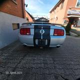 Ford Mustang V8   1.Hand - Ford Mustang Gebrauchtwagen in Stuttgart