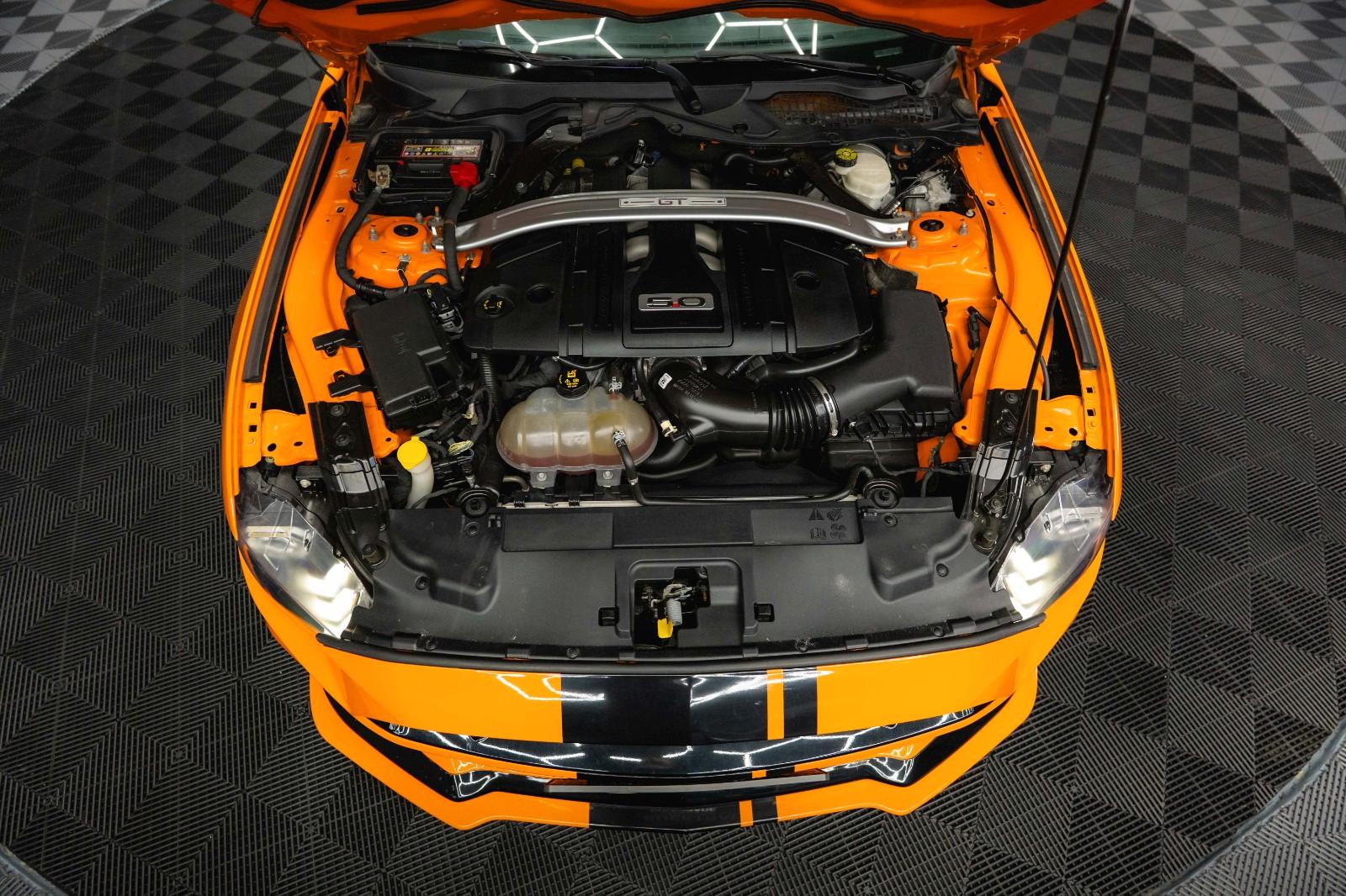 Ford Mustang Shelby GT 500 5.0 V8 PREMIUM Performance