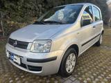 Fiat Panda 1.2 8V Dynamic*Klima*98 Tkm*Zahnriemen Neu - Fiat aus 2007