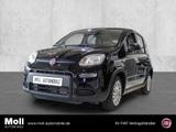 Fiat Panda Mild Hybrid City Paket  Cinema Schwarz - Fiat Panda Gebrauchtwagen in Aachen