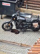 Harley-Davidson Xg750  - Harley-Davidson Motorräder in Braunschweig