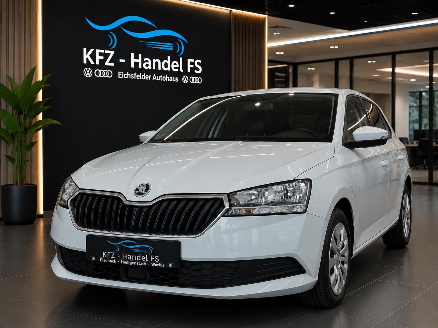 Skoda Fabia Combi Ambition,Benzin,Klimaauto,Nav,Top