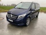 Mercedes-Benz V 250d Avantgarde Long Version Burmester 7P  - Mercedes-Benz V 250