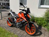 KTM Duke 390 MIVV Sportauspuff HU/Service neu - Offers matching your search criteria