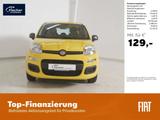 Fiat Panda 1.0 GSE Hybrid Pandina Icon - Fiat Panda Neuwagen mit Benzin-Antrieb