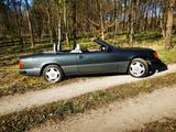 Mercedes-Benz A124 Cabrio sportline 300CE-... - Mercedes-Benz E-Class: A124