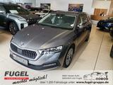 Skoda Octavia 1.0 TSI DSG Tour LED|4xSHZ|Klimaaut. - Skoda Octavia Tour mit Benzin-Antrieb